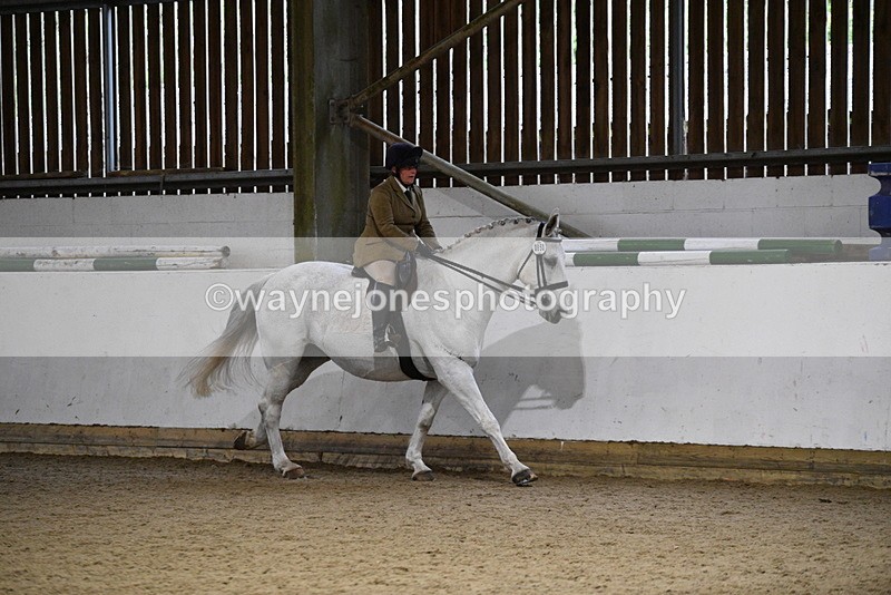 WJ5_8826 - Class 15 Ridden Show Horse