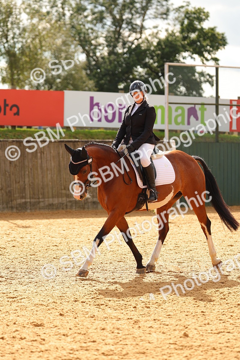SBM_47482 - D6 - Small Tour Championship - Intro C