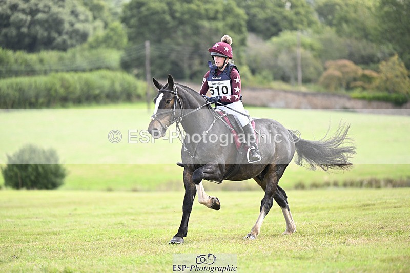 240825X-111445-32465 - 70cm XC 11.00 to 12.00