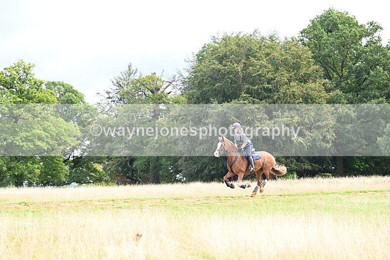 DSC_4545 - Time at Statue 09:50 to 11:09