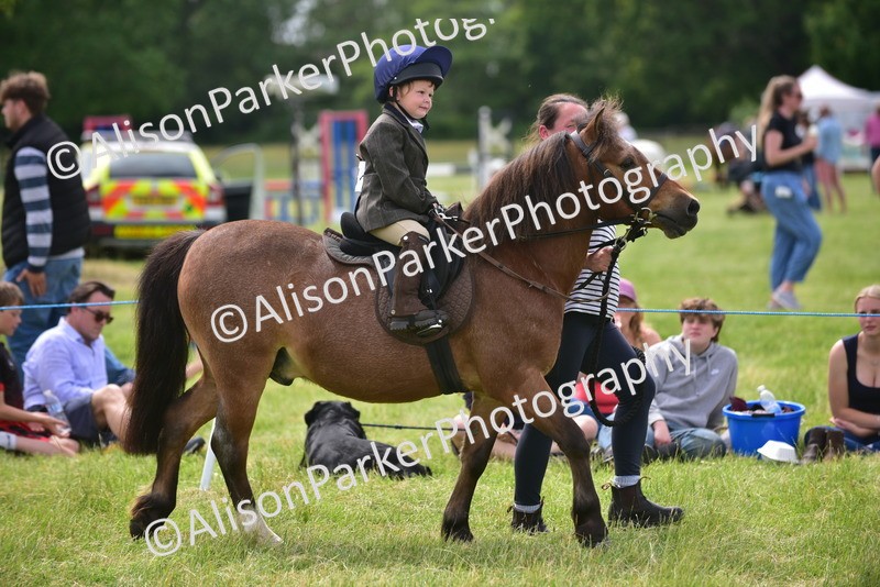 20260614-3996 - Class 16 - Handsome Gelding