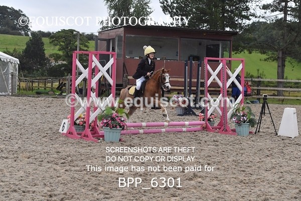 BPP_6301 - CLASS 2 - 30CM