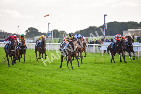 yr07102022r5-23 - Race 5 4.25pm Copper Knight Winningmost Horse Stakes