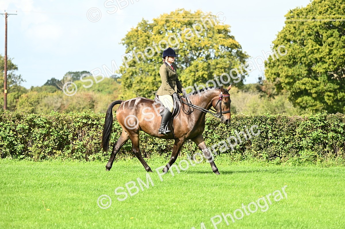 SBM_01748 - S2 - TSR Ridden Horse Showing