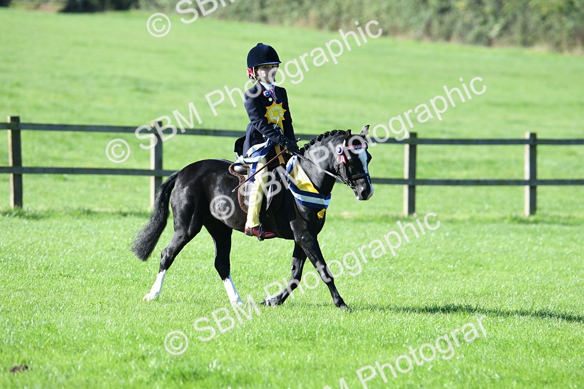 SBM_35613 - Top Turnout Supreme Championship
