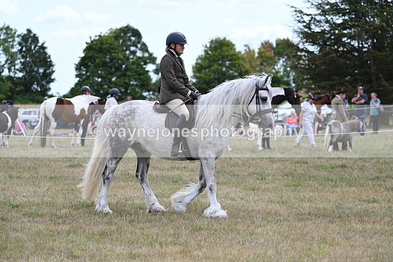 WJ7_4678 - Class 12 Ridden Cob