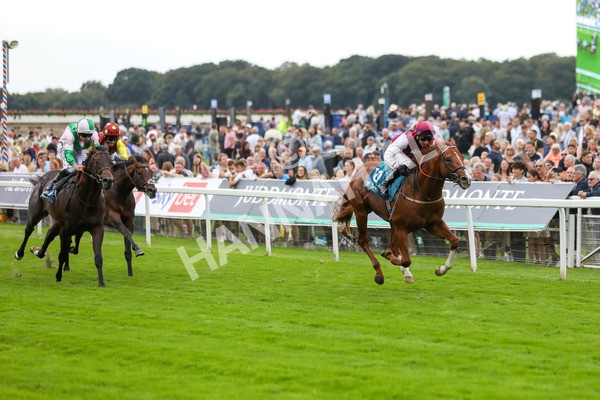 230823-Race 7-Zoulu Chief-4609 - Race 7 5.20pm Sky Bet Nursery Handicap