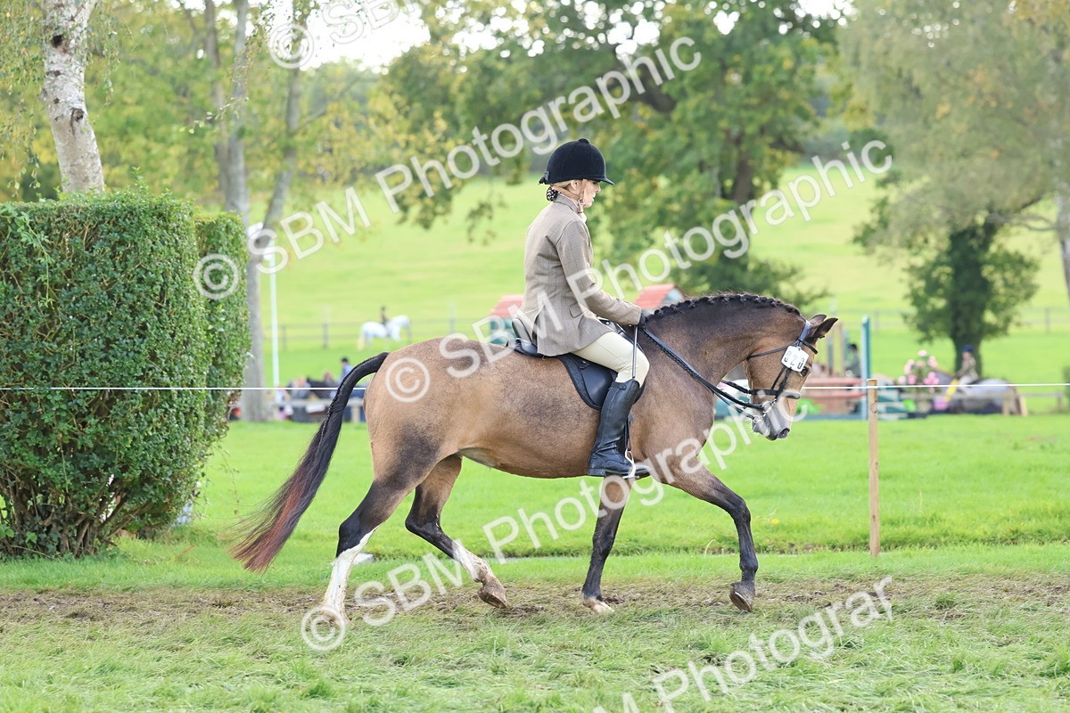 SBM_47634 - S28 - Veteran Ridden