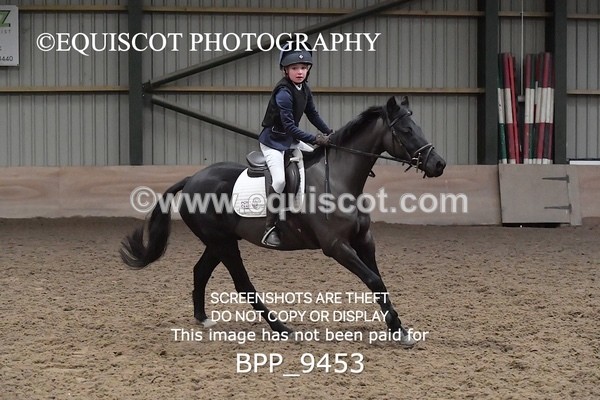 BPP_9453 - CLASS 5 60CM Progressive Show Jumping