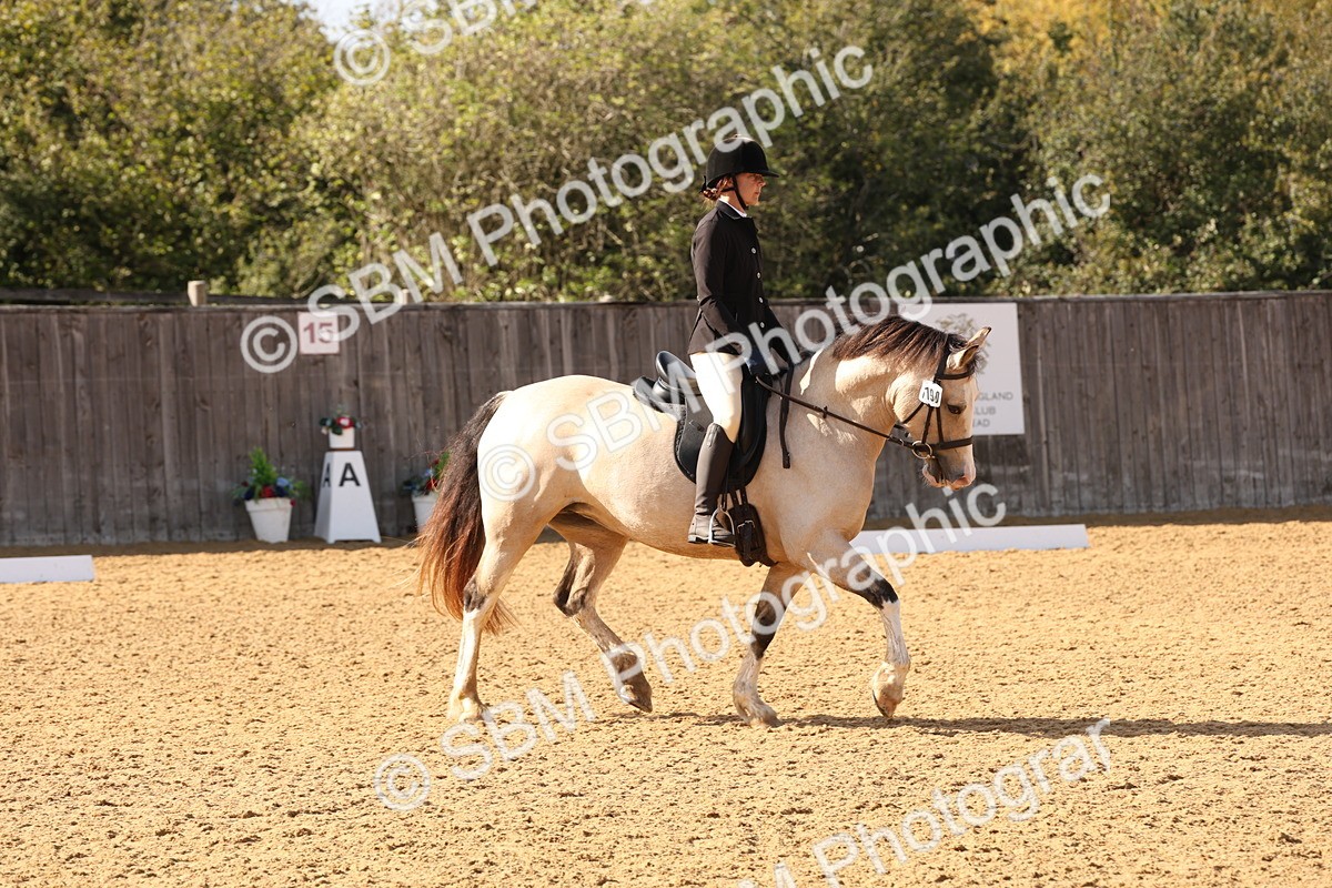 SBM_50389 - D12 - Small Tour Championship prelim 2