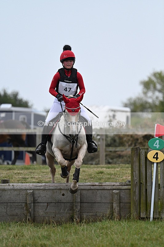 WJ7_8416 - 80cm XC Time 15:45 to 16:02