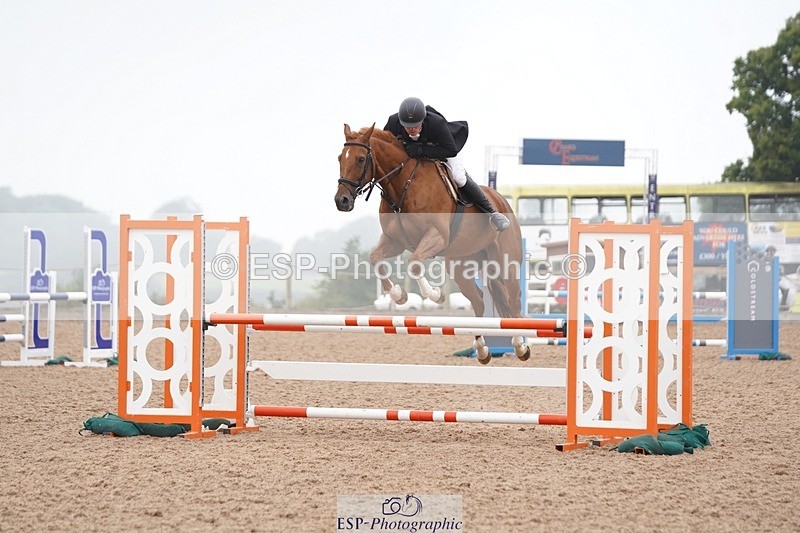 240901A-114000-06652 - 460-Harry.Rowcliffe-22.CARROT.GOLD