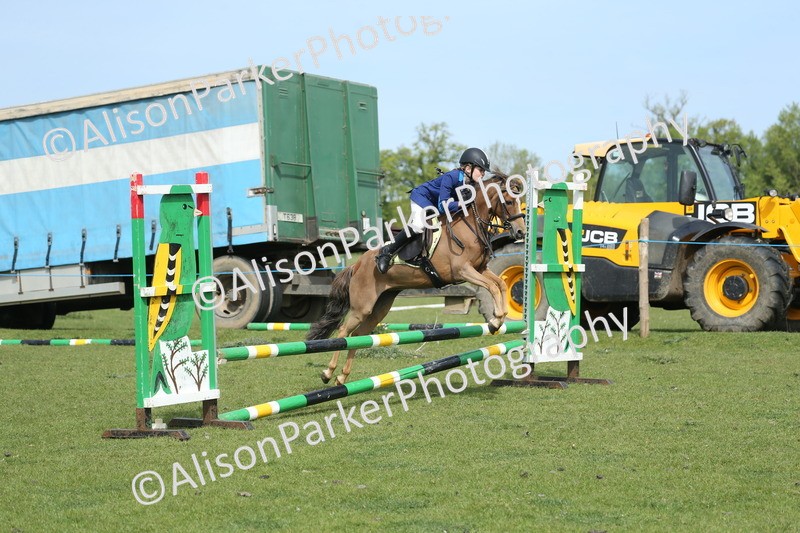20260426-1578 - Class 14 - Novice 60cm