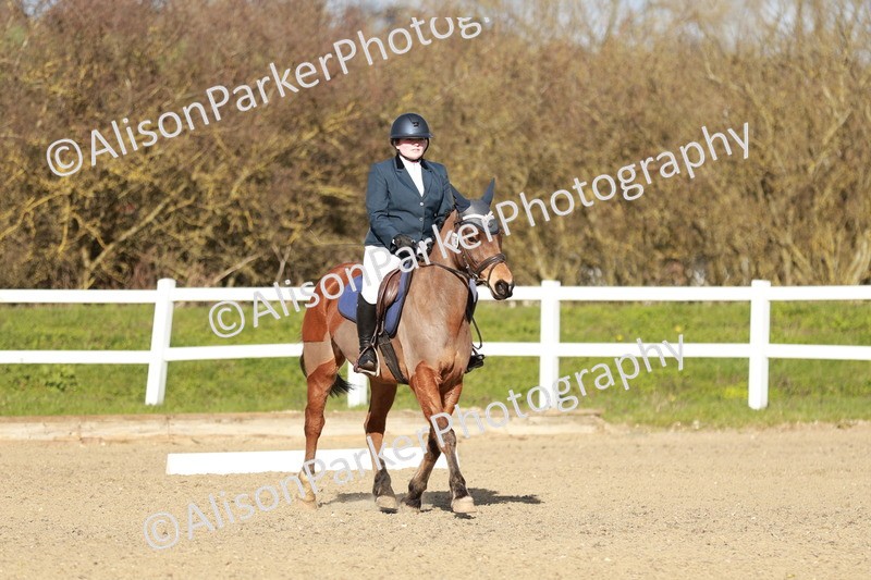 20260314-5309 - DR4 - Prelim 2