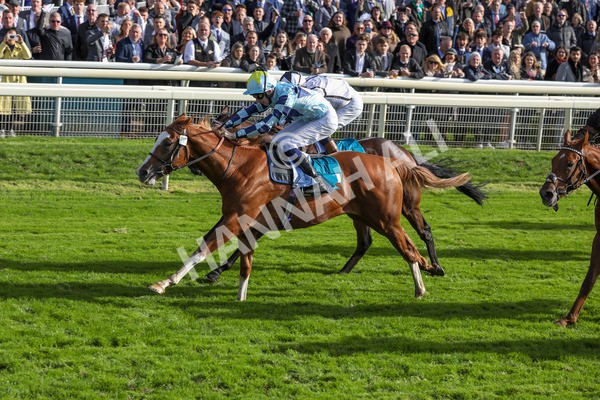 141023-Race 2-Whiskey Pete-0358 - Race 2 1.50pm Play Coral 'Racing-Super-Series' For Free Nursery Handicap