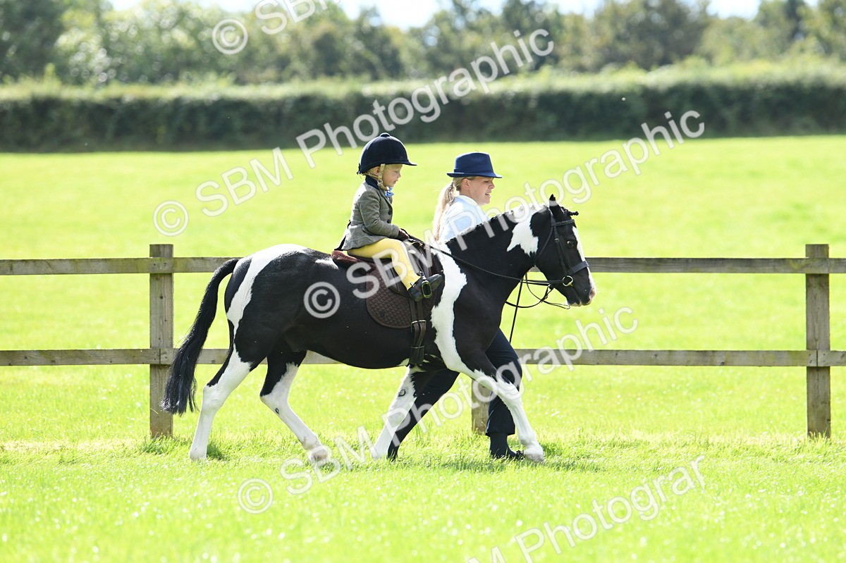SBM_41156 - S19 - Lead Rein Show & Show Hunter Pony