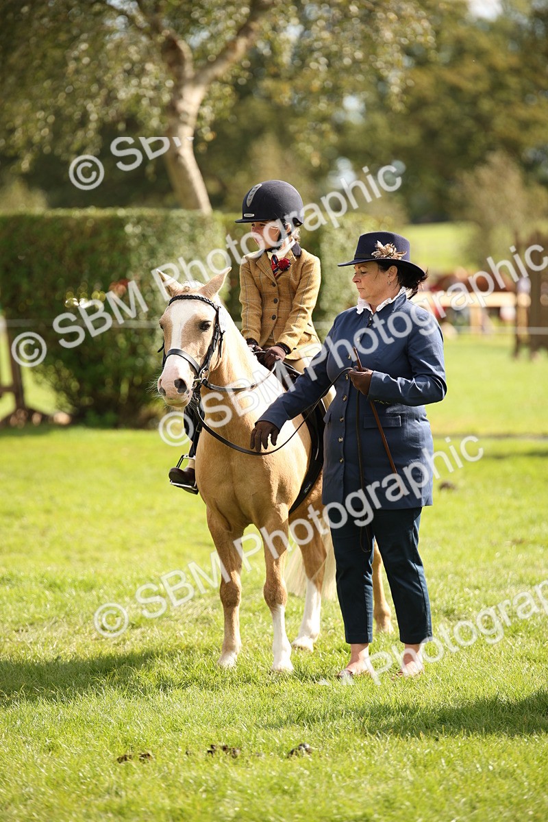 SBM_49984 - S26 - Young Veteran - Ridden