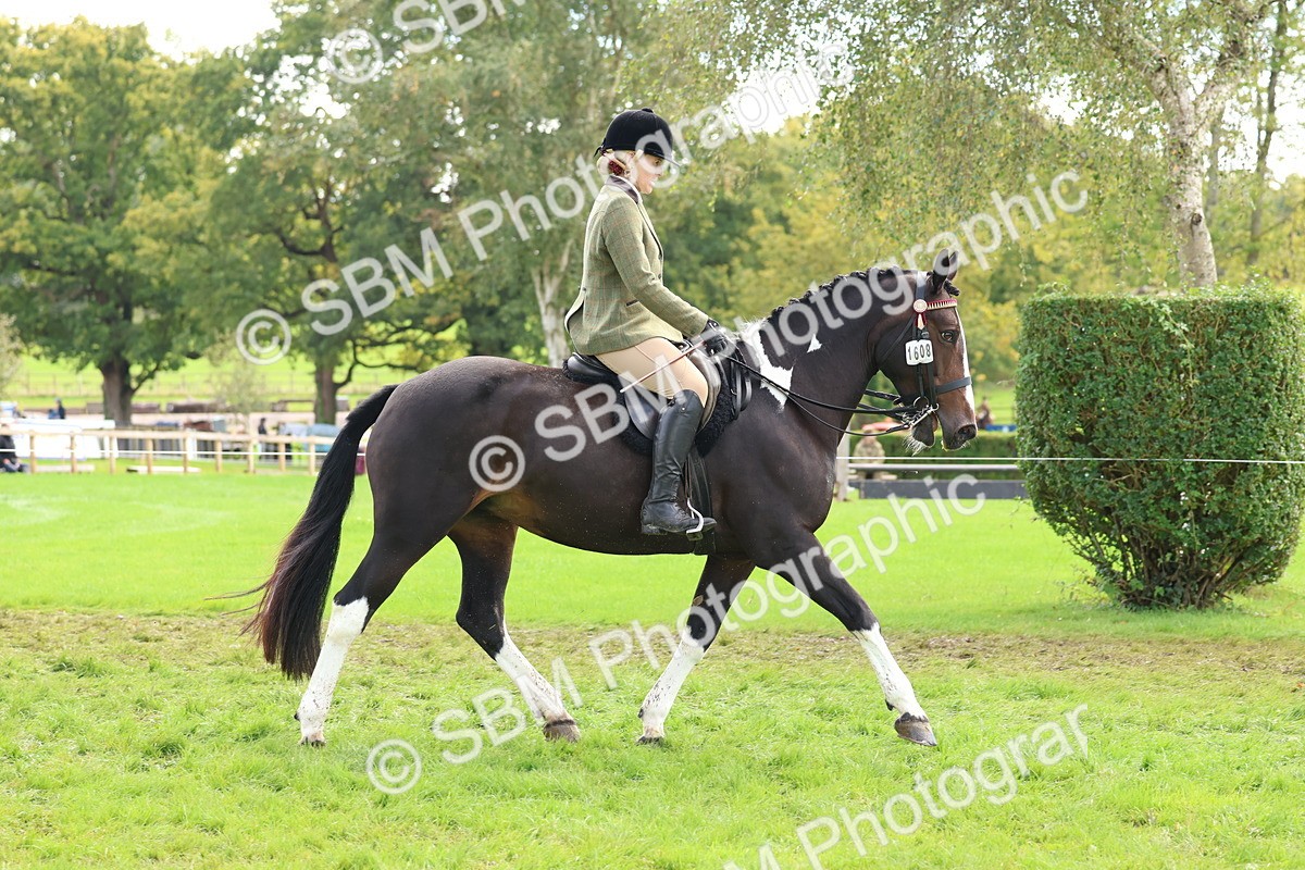 SBM_45170 - S27 - Young Veteran Ridden