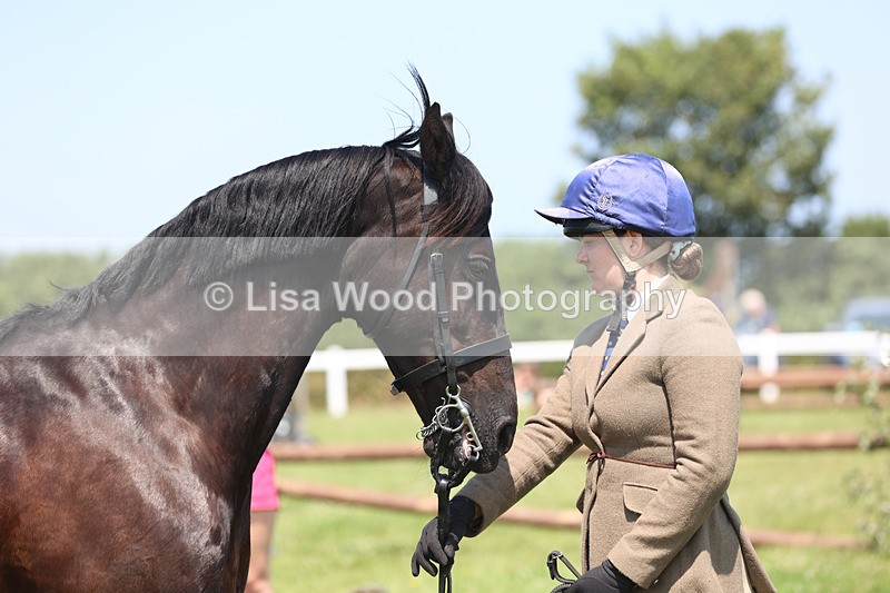 JPP_2893 - Class 21: Working Hunter 60cm