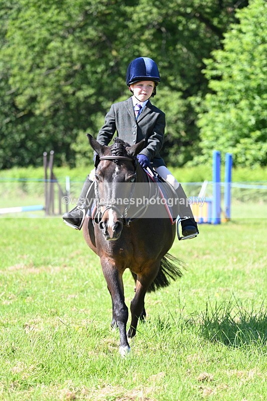 WJ7_0358 - Class 8 First Rally Pony