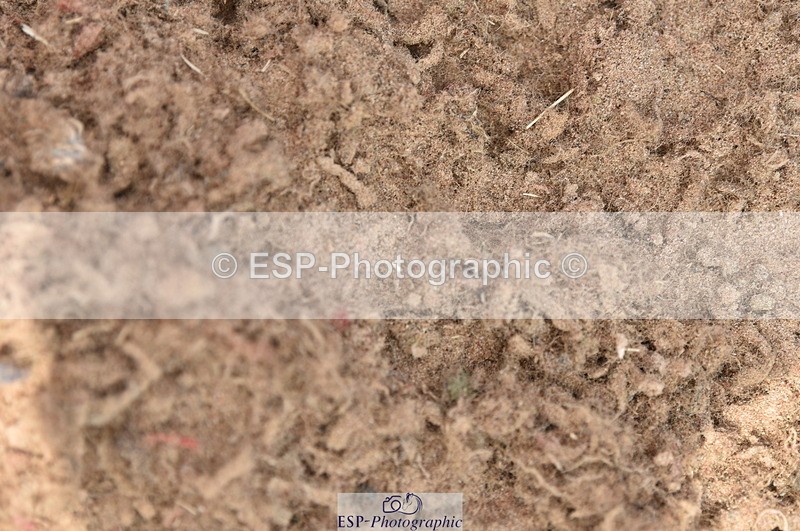 230810A-140238-01247 - Cls 10 6 Year Old Championship