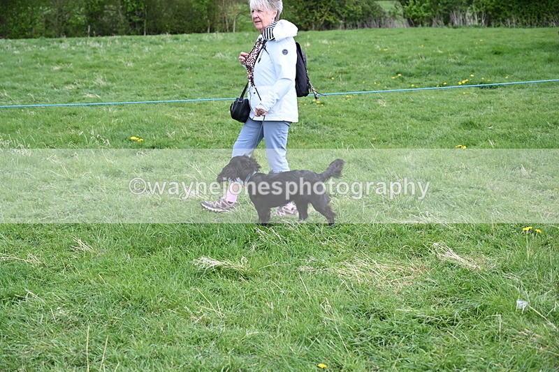 WJ6_8082 - Class 2 Best Pedigree