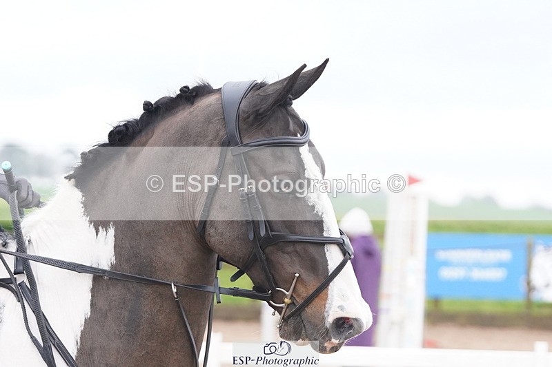 250419-105806-08504 - 411-Kelly.Knockaert-PIPER.II