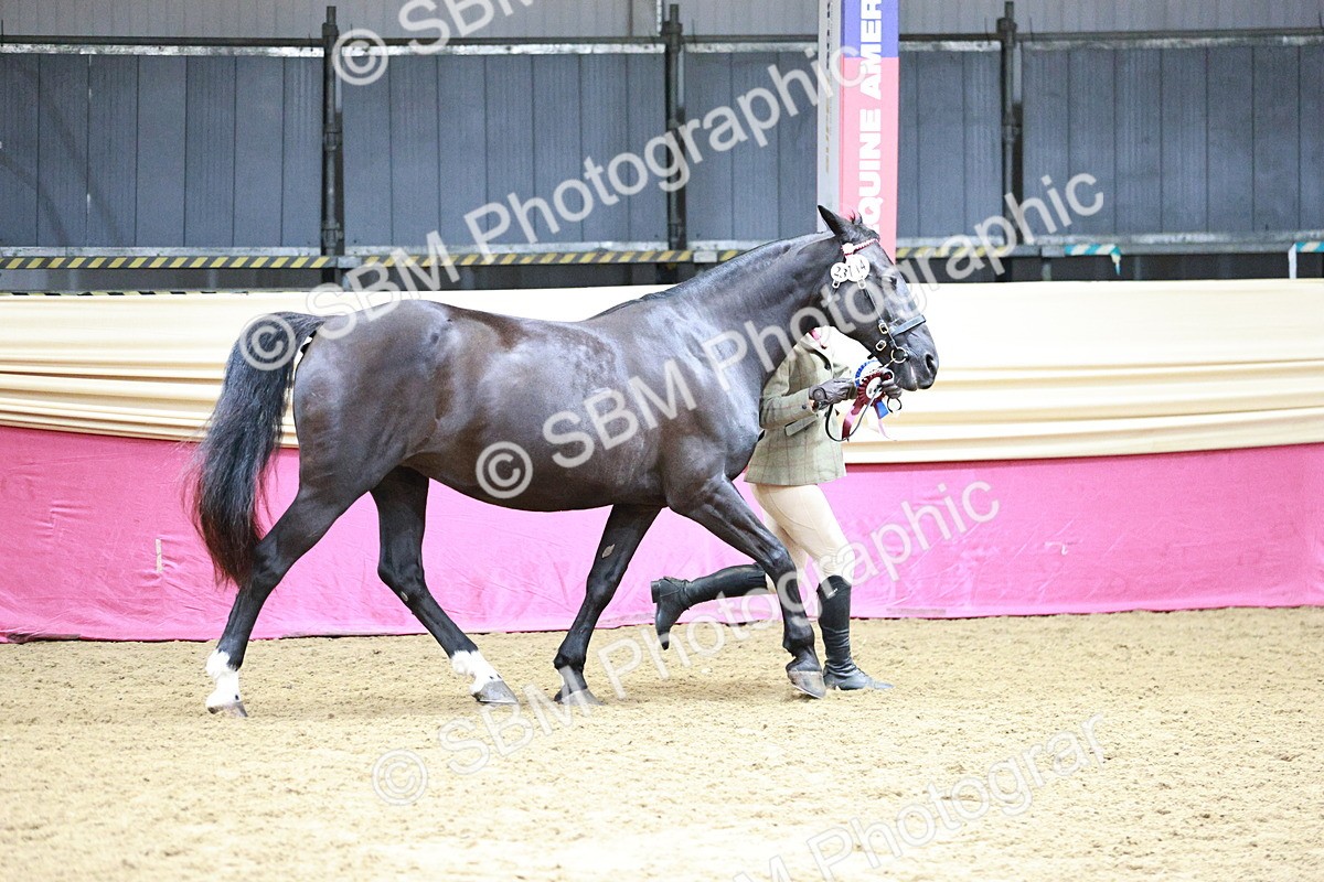 SBM_01102 - Class 2A - Area IH Veteran