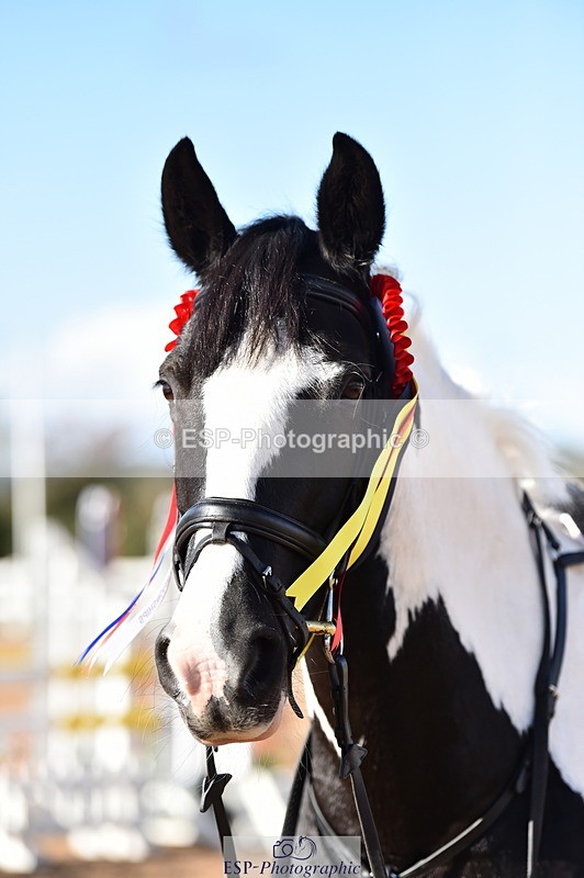 231014A-113300-04069 - Cls 13 85cm Amateur Q 2nd R