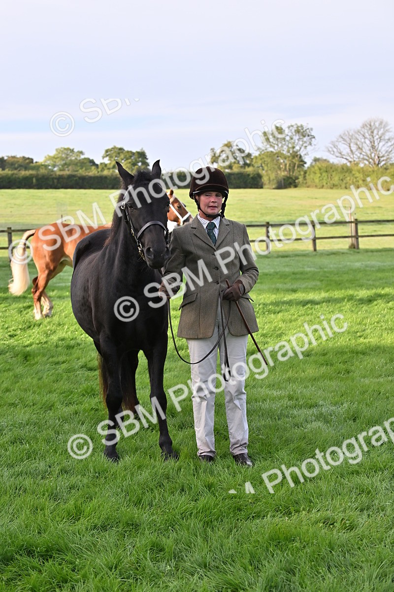 SBM_55350 - S44 - Youngstock In Hand