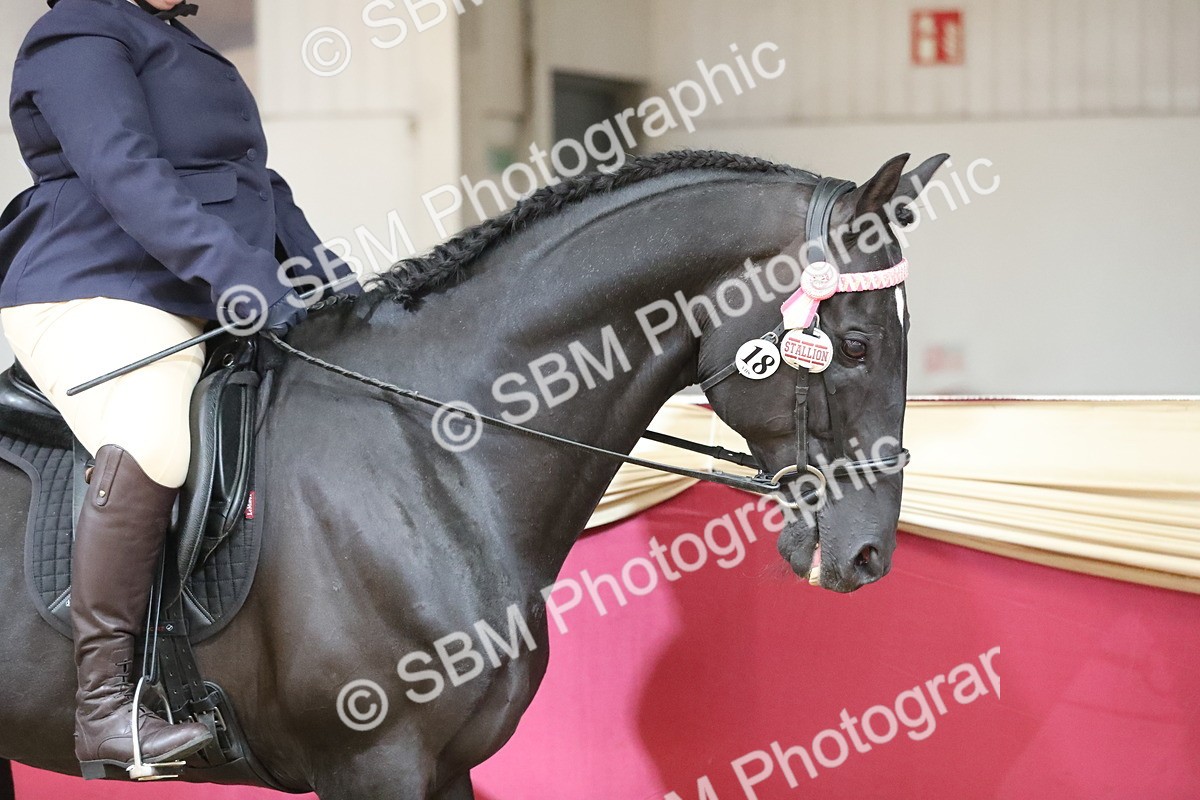 SBM_02836 - Class 6a Area Ridden Pre Vet