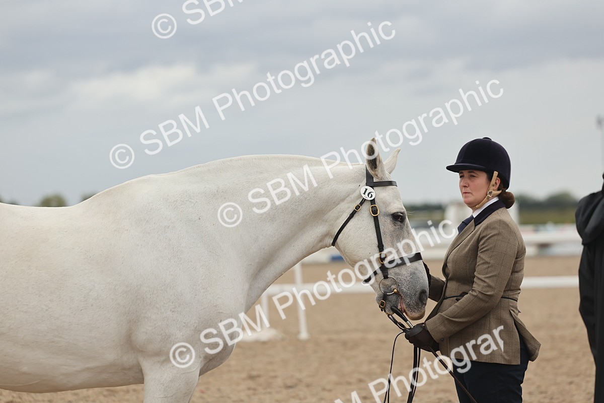 SBM_19318 - Class 317 - IH Pure Bred Horse-Pony
