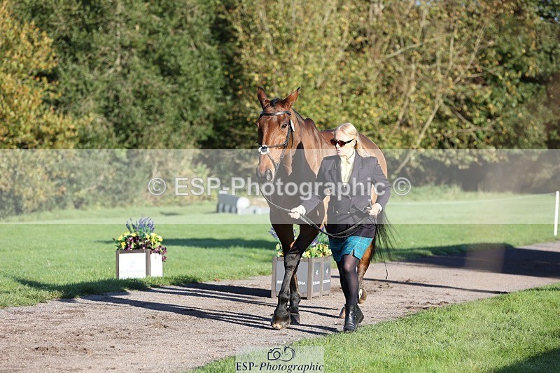 241027-085850-14936 - 369-Carolyn.Price-I.WISH.ANDY