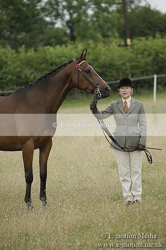 B230619-0253 - Bourne Valley Riding Club Summer Show 23/06/19