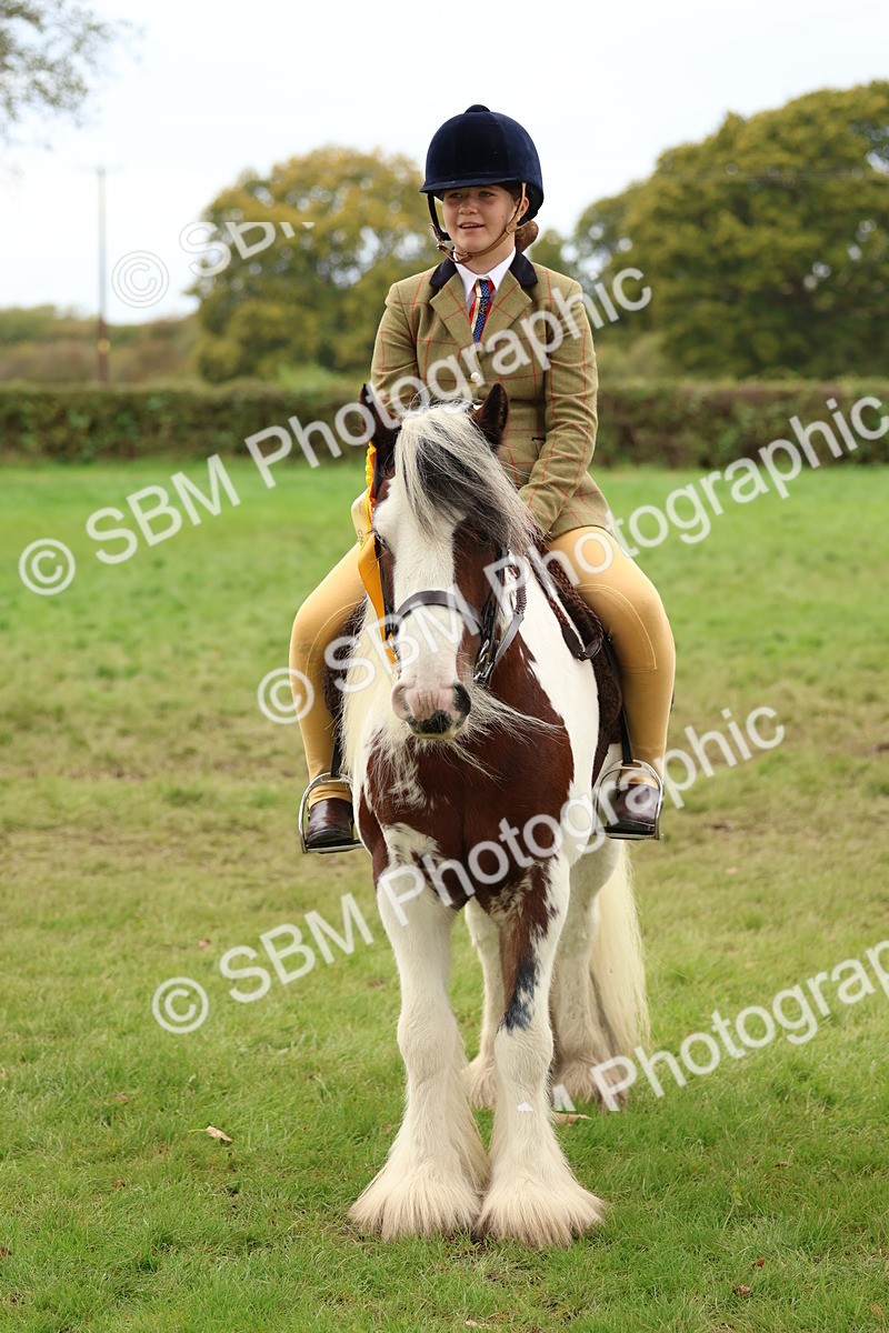 SBM_64669 - S58 - Coloured Pony Ridden