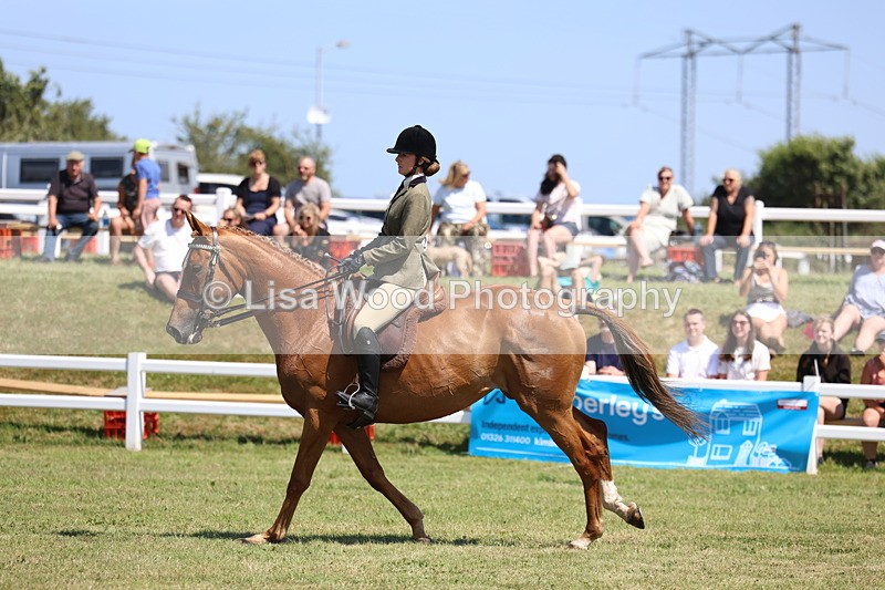 3E7A7747 - Class 7: Open Riding Horse
