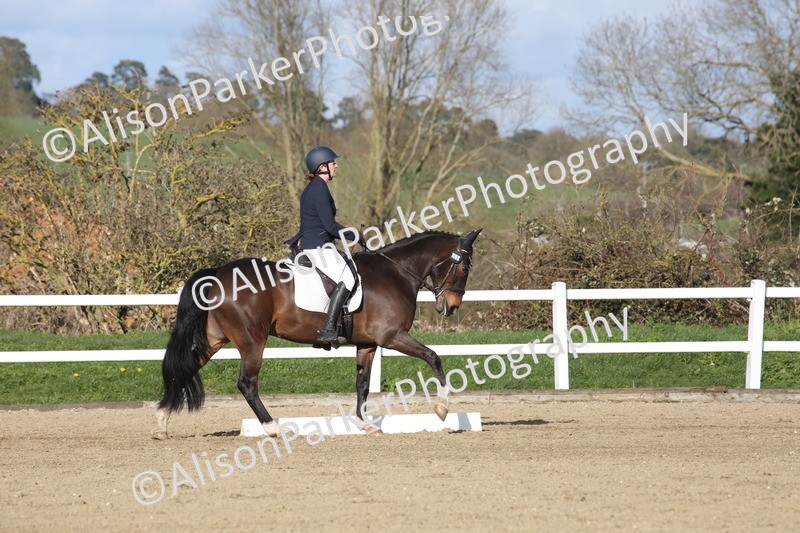 20260314-6007 - CT5 - Novice 2