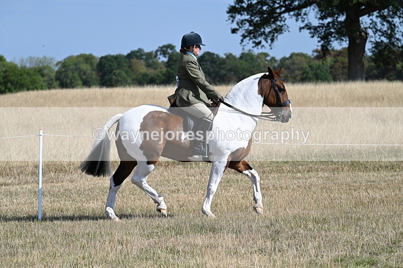 WJ7_2803 - Class 8 Ridden Tack & Turnout