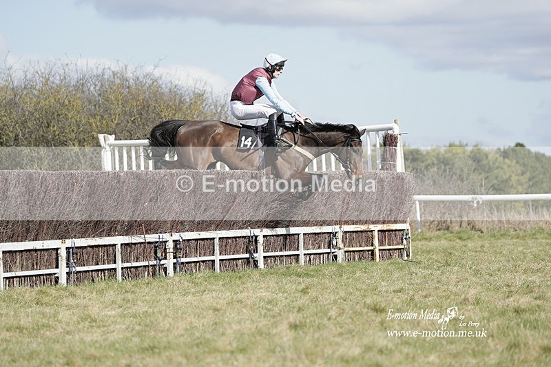 PtP 260223 468 - South & West Wilts Point-to-Point Larkhill 26/02/23