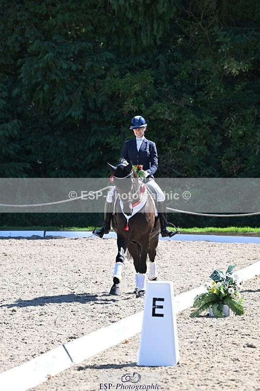 240811-153520-06680 - Adv Medium Gold