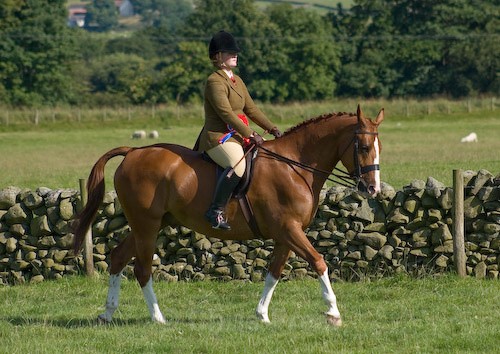 155 - Moniaive Horse Show 2008
