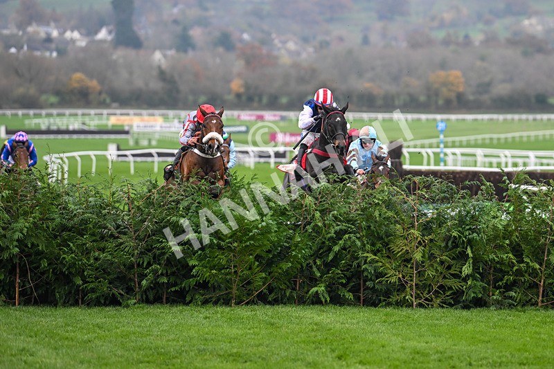 151124-Race 4-Sweet David-8200 - Race 4