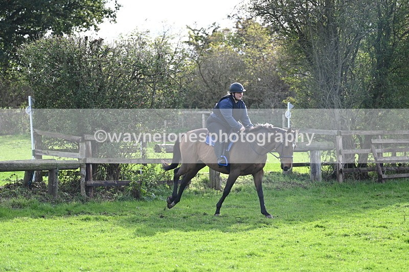 WJ7_0963 - Time 14:27 to 15:11