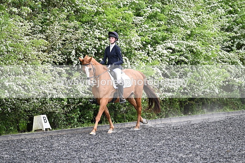 WJ7_1582 - Time 14:58 to 15:03