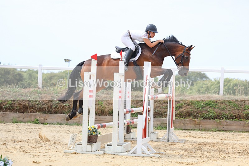3E7A4326 - Class 8: Senior Foxhunter/1.20 open
