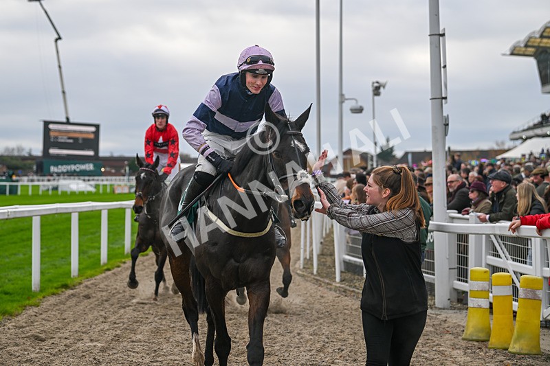 161124-Race 2-Java Point-9704 - Race 2