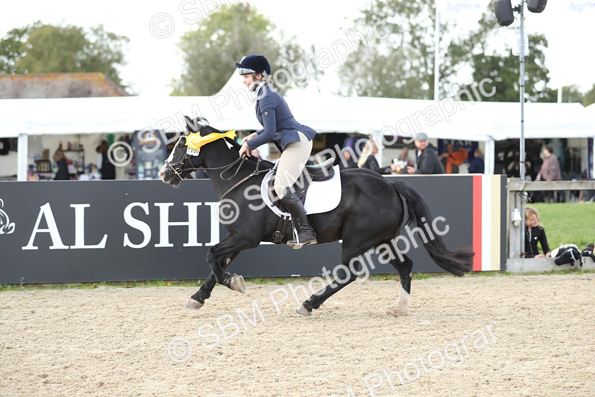 SBM_06586 - J29 - Senior Horse & Pony 65cm Championship