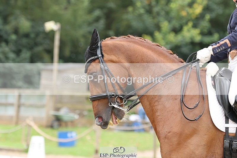 240810-161001-04336 - 219-Alice.Peternell-Insanity