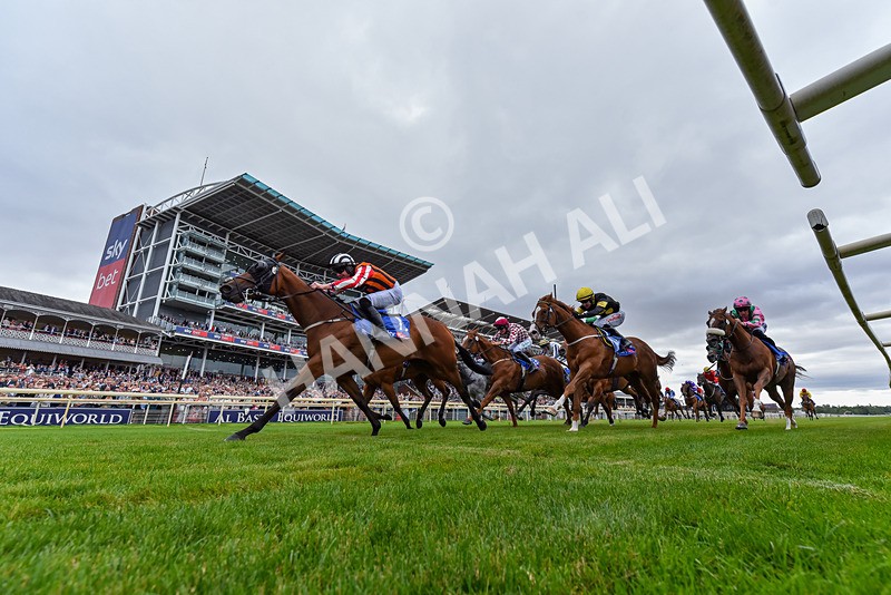 250726-Race 1-Kodiac Thriller-3920 - Race 1 13.30pm Sky Bet 'Jump Jockeys' Nunthorpe' Handicap