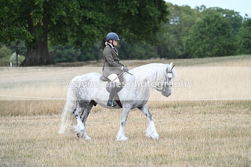 WJ7_5411 - Class 12 Ridden Cob